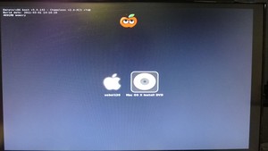 select Mac OS X Install DVD