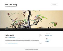 wordpress front page