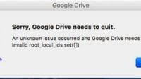 Google Drive Invalid Root_Local_Ids Set error