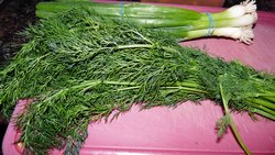 dill weeds and green onion