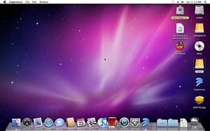 snow leopard 10.6.3 desktop with hard drive on