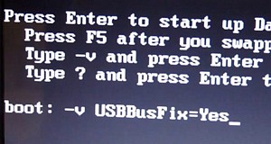 -v USBBusFix=Yes