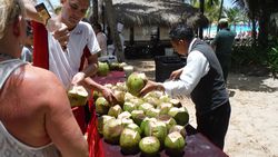 coconuts table