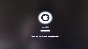 iboot apple logo will be on and booting