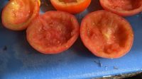 tomatoes skin only