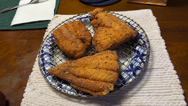 catfish southern fried