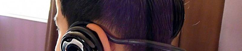 Artic BT Headphones